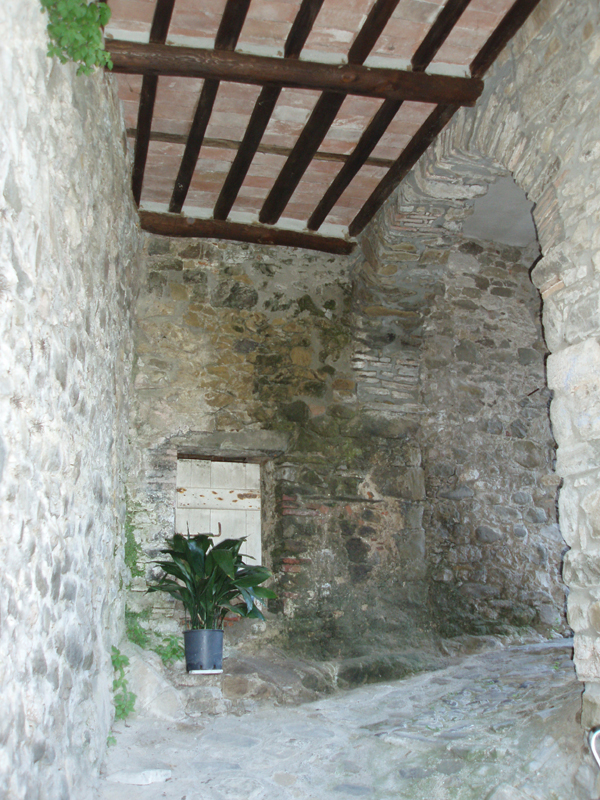 P1010229